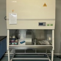 双人生物安全柜